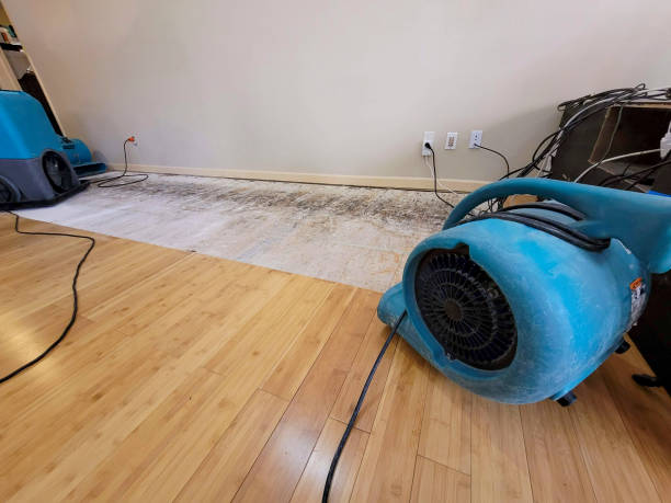 Professional Water Damage Repair technician working in South Boston, VA